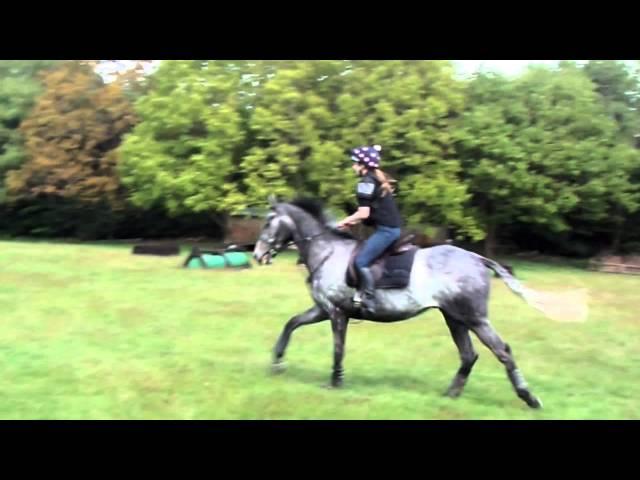 Cosmic Curious XC