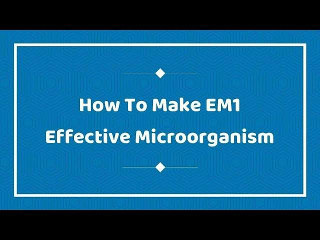 How to Make EM1 - Effective Microorganism