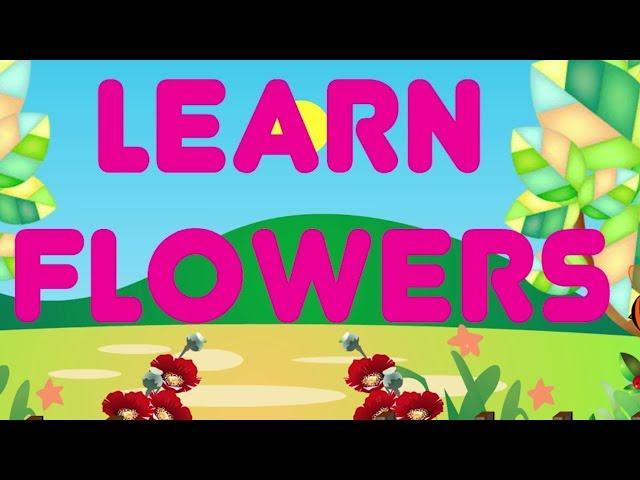 Learn Flowers Name for Kids | Flowers Name in English | kids Learning Videos & Kindergarten Videos