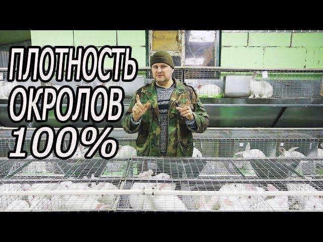 Как случить много самок в одно время!