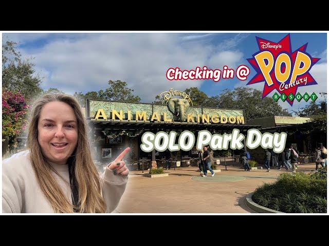 Animal Kingdom SOLO Morning & Pop Century Check-in