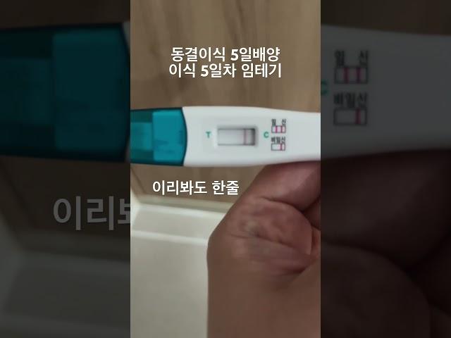 5일배양 동결이식 5일차 임테기 아직 이른거겠지 ㅋㅋ 그런 거..겠...지....#시험관 #동결이식 #난임일기 #난임