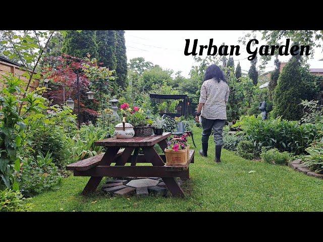 How I Packed Flowers and Fruit Trees in My Small Garden | Compact Garden