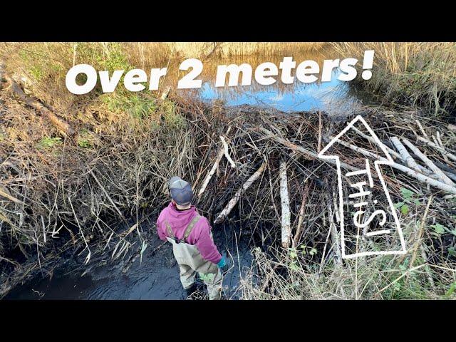 Whole Dam Moved Downstream!