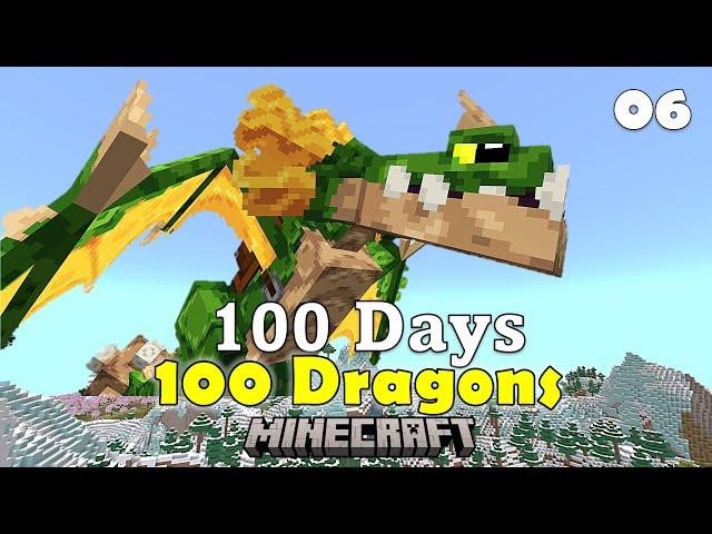 100 Days Taming 100 DRAGONS in Minecraft / Epi. 06: Elder Dragons in the Swamp