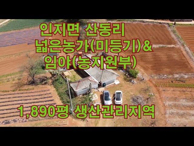 가격인하 평당 20만원[딸기236]충남 서산시 인지면 산동리 구옥과1,890평토지 매매 딸기공인중개사 041.662.0880