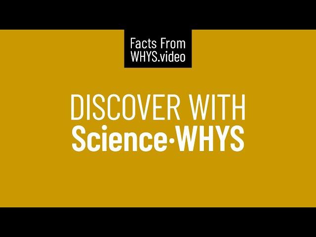 Discover With Science·WHYS