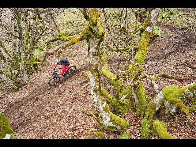 Auvergne, paradis de singles !