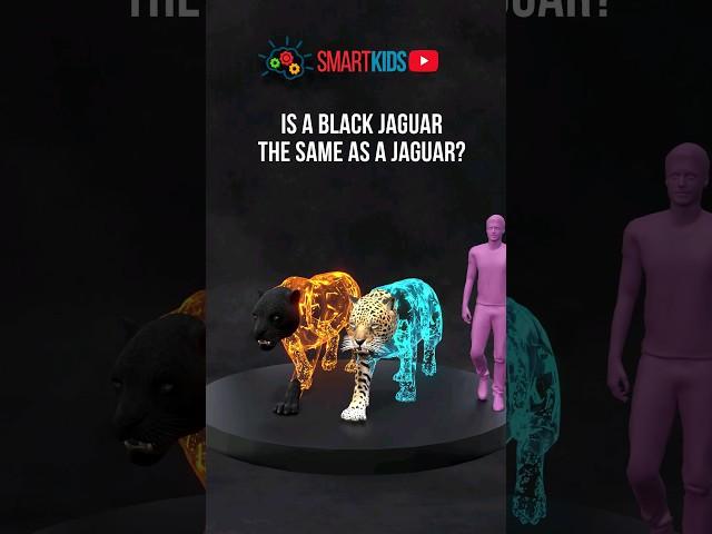  Is a black jaguar the same as a jaguar?