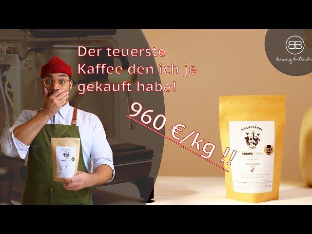 Panama Geisha Kaffee für 960€/kg? - So brühst du High End Kaffee richtig