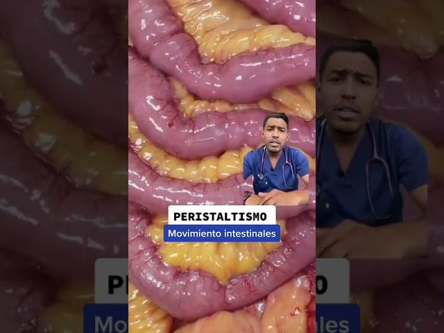 ASÍ SE MUEVE EL INTESTINOPERITALTISMO | DR. RAWDY