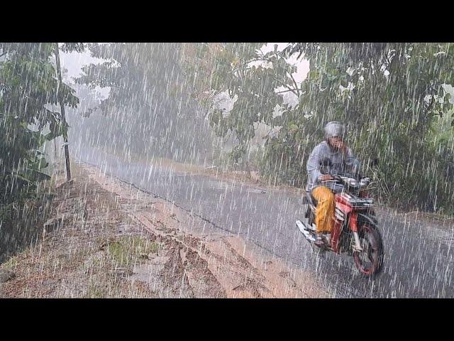 SUPER HEAVY RAIN AND STRONG WIND IN THE INDONESIAN RURAL VILLAGE | WALKING IN HEAVY RAIN