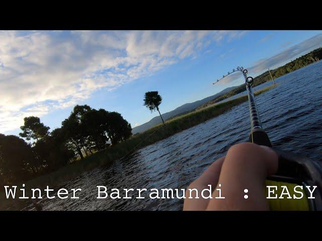 Tinaroo Fishing | How to catch winter barra easy