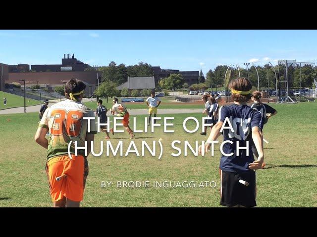 The Life of a (Human) Snitch