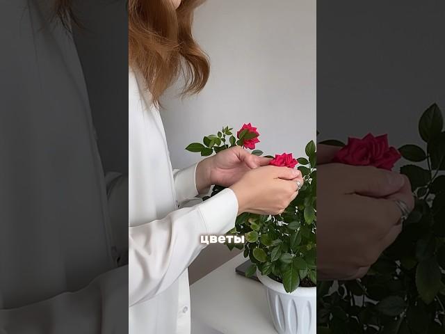 ПОДАРКИ без повода ️ как получать от мира больше #психологияуспеха #женскиепрактики #коуч #подарки