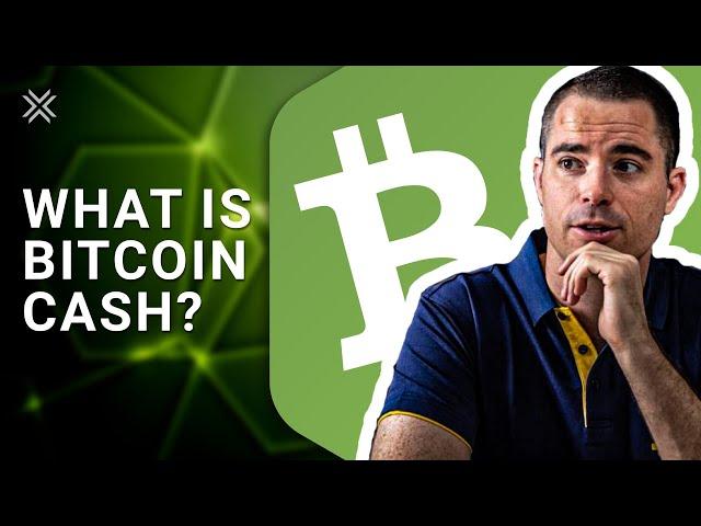 What is Bitcoin Cash (BCH)?