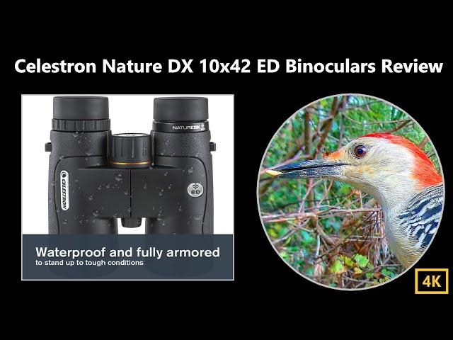 Celestron Nature DX ED 10x42 Binoculars Review