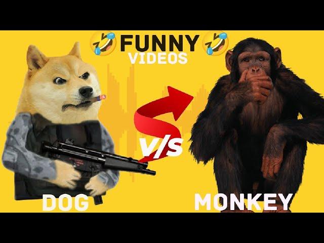 FUNNY Animals Cats and Dog MONEY Video Part 3 l M S family