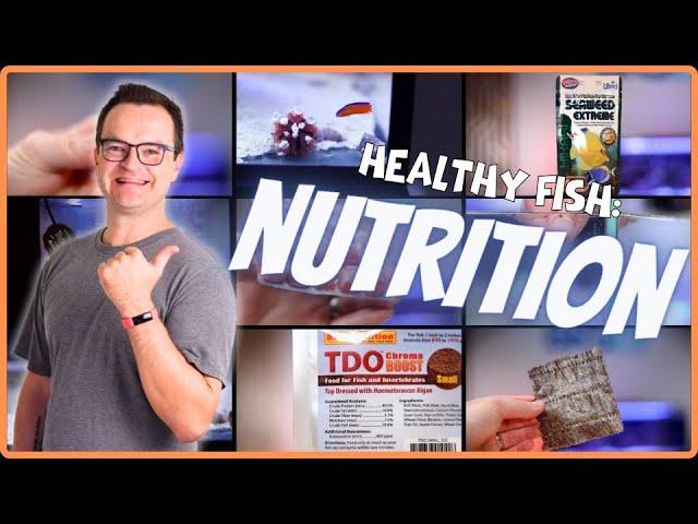 Master Reef Tank Nutrition for Happier, Healthier Saltwater Fish! EP:09