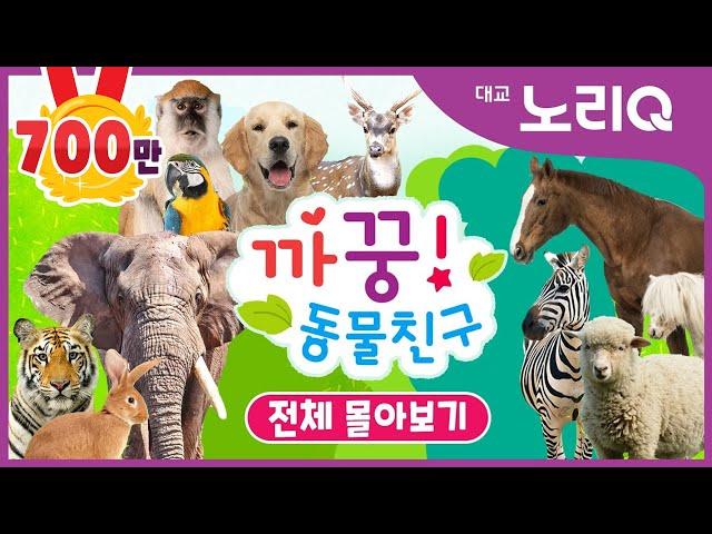 까꿍! 동물친구ㅣ자연관찰ㅣ전편 몰아보기 (1~26화)ㅣBabies&KidsㅣPikaboo! Animal friendsㅣDaekyo noriQ l 대교 노리Q