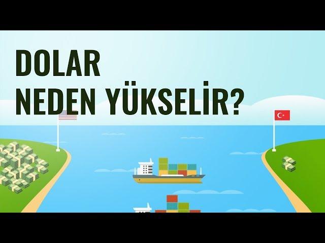 Dolar Neden Yükselir?