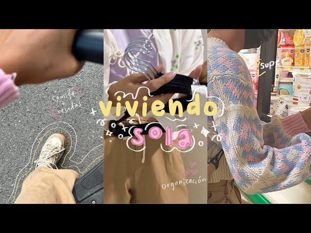 Tips para sobrevivir sola / viviendo sola a mis 20´s, haul shein, organización