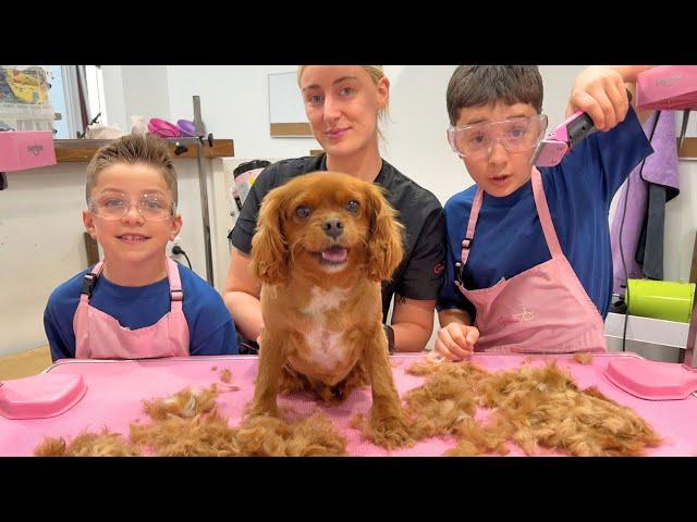 Pet Grooming Adventure  Dog Grooming for Kids ️ Learn how your dog is groomed at the Salon!