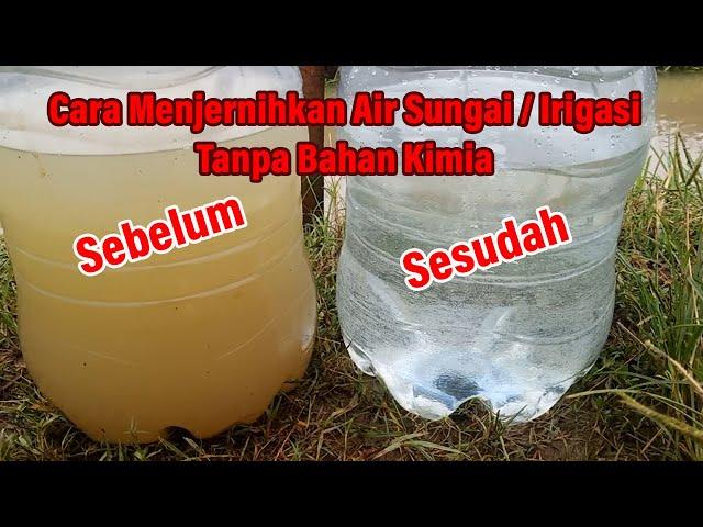 Cara Menjernihkan Air Sungai Irigasi Tanpa Bahan Kimia