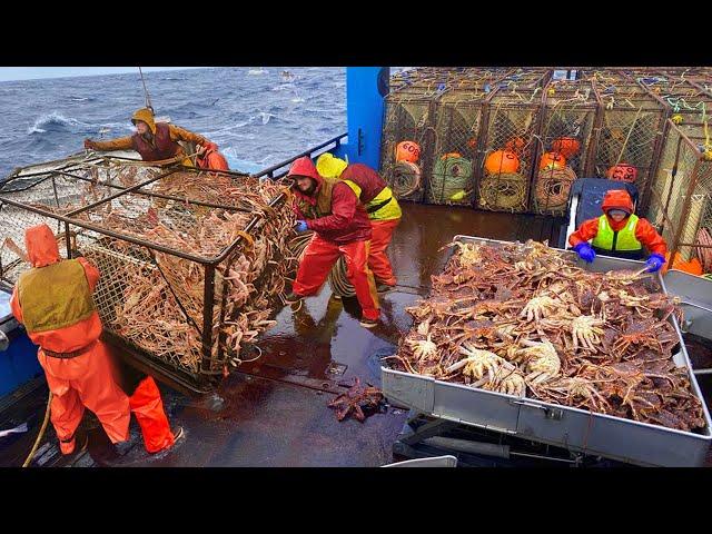 Amazing Snow Crab Fishing With Traps on the Boat - Awesome Big King Crab Trap Under The Sea