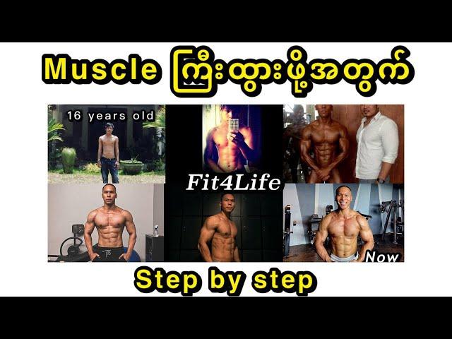 သိပ္ပံနည်းကျ Muscle တည်ဆောက်နည်း Step by step