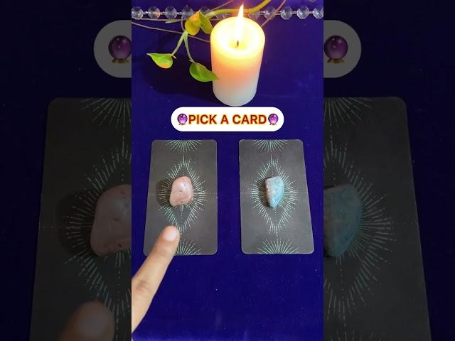 PICK A CARD| Yes or No?| Part 1| ~Timeless~ #tarot #tarotreading #pickacard #yesorno