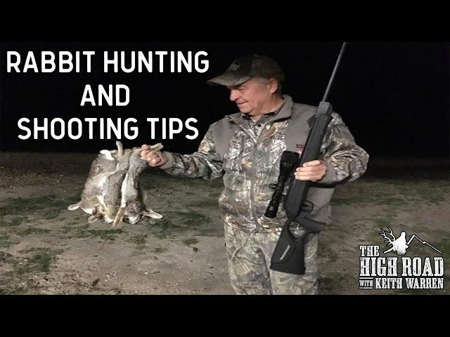 Rabbit Hunting & Shooting Tips with Air Rifles