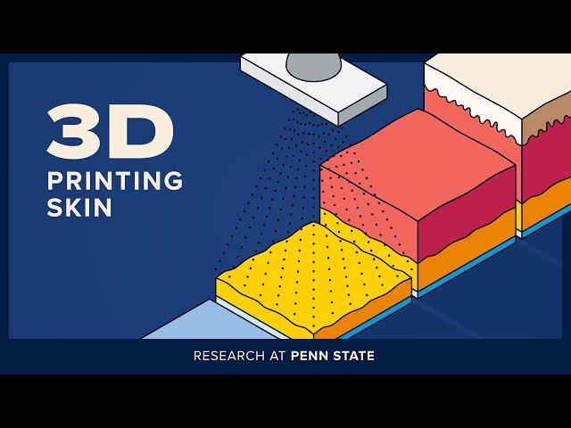 Biomedical Engineers 3d Print Skin | Tissue Engineering | 3D Bioprinting