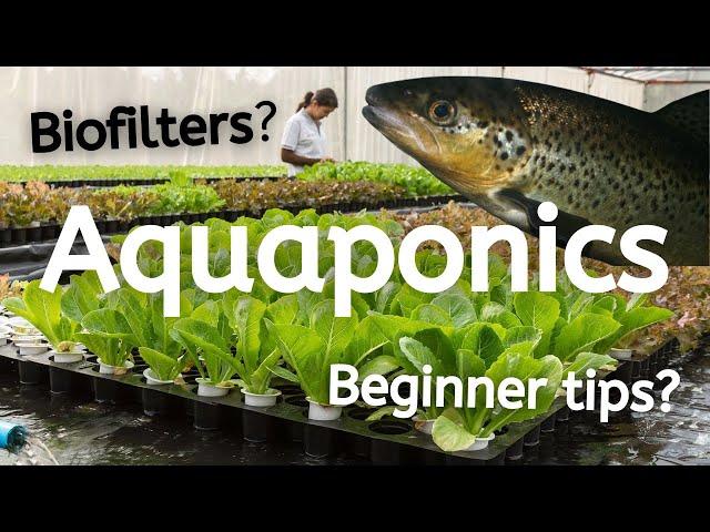 What is Aquaponics and How Does it Work?