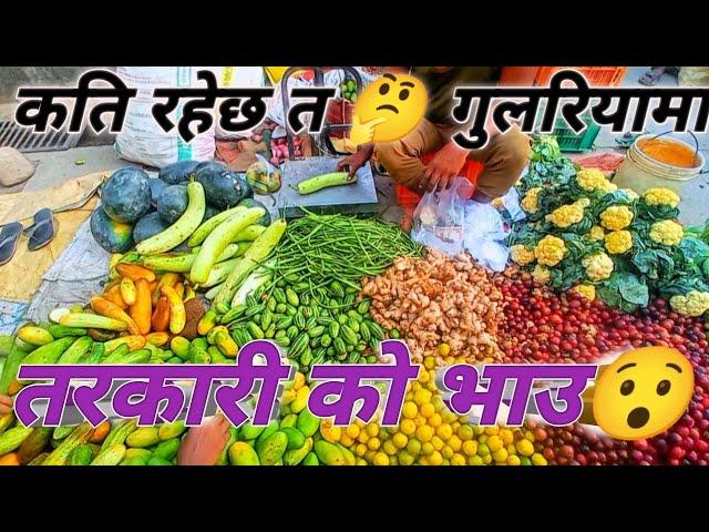 गुलरिया मा तरकारी को मूल्य कति छ त ? || What Is The Price Of Vegetables in Gulariya ? ||