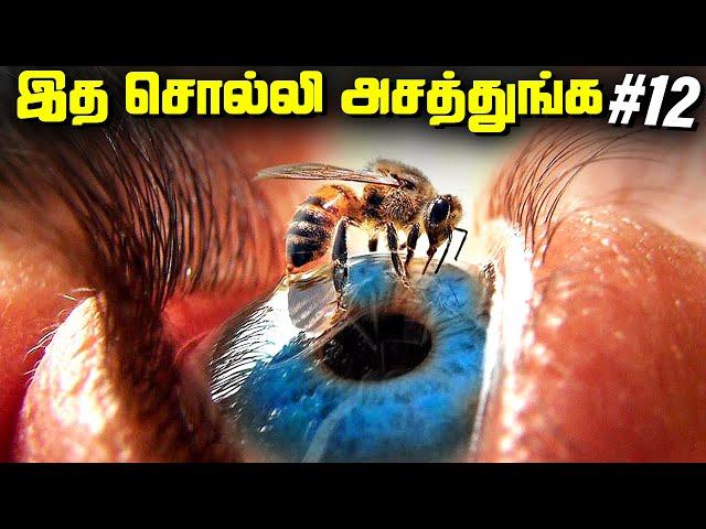 மனிதர்களை தின்னும் தேனீக்கள் - Random Facts #12