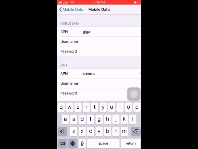 APN instructions for iOS | giga experience