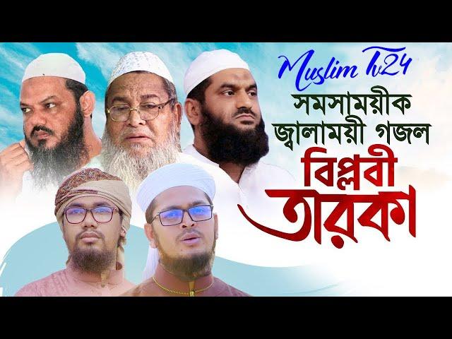 Muslim Tv24 - সমসাময়িক জ্বালাময়ী গজল । Biplobi Taroka । বিপ্লবী তারকা । Babunogori, Mamunul Haque