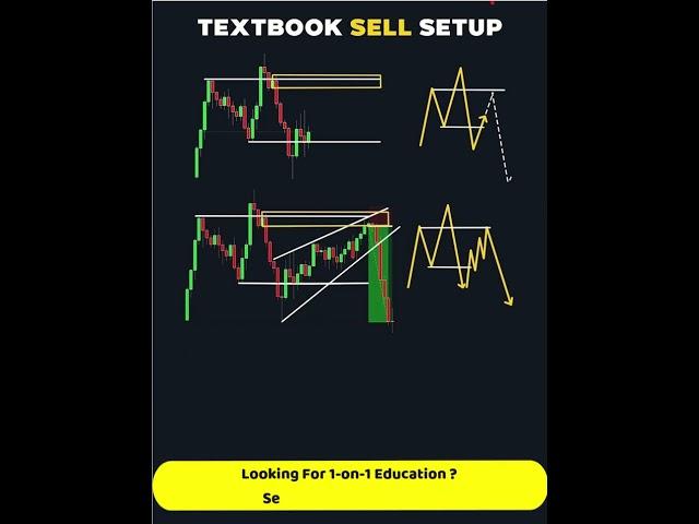 🟢Theory vs Reality In Trading #btc #shorts #viral#trading #chatgpt #crypto #eth #ethereum #binance