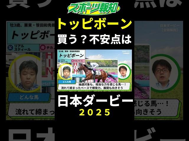 [Japan Derby 2025] Should I buy Toppiborn? What are the concerns? Explanation of distance, course...