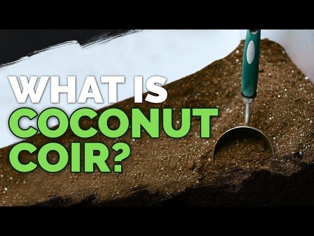 Coconut Coir: What it is and How To Use It In The Garden