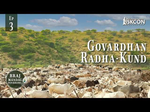 Govardhan, Radha-Kund | Braj Mandal Parikrama | Ep 3 | Sri Sampati Dasa