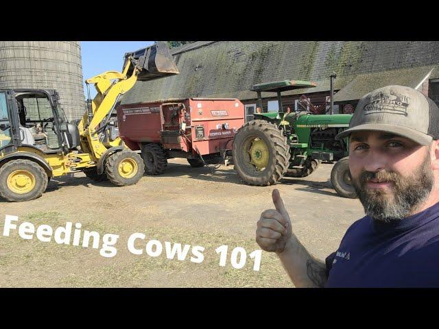 Remembering How To Feed Dairy Cows- A Morning In The Life Of A Dairy Farmer