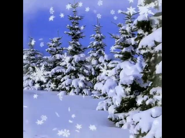 футаж- анимация# зимний лес# снегопад