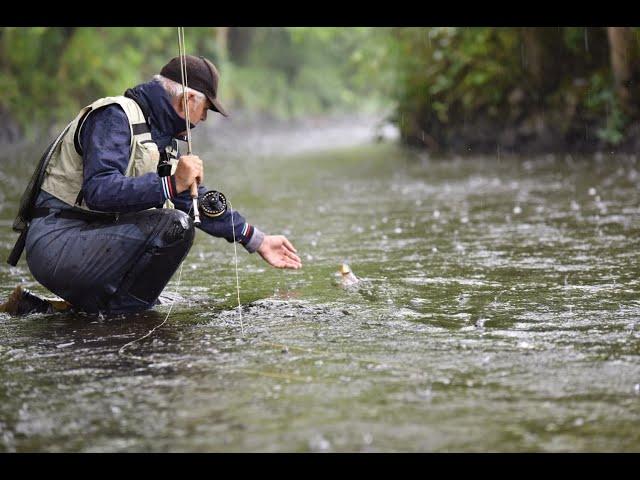 Top Fly Fishing Rivers in Washington State