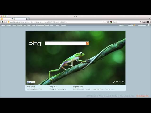 Bing Animated Homepage