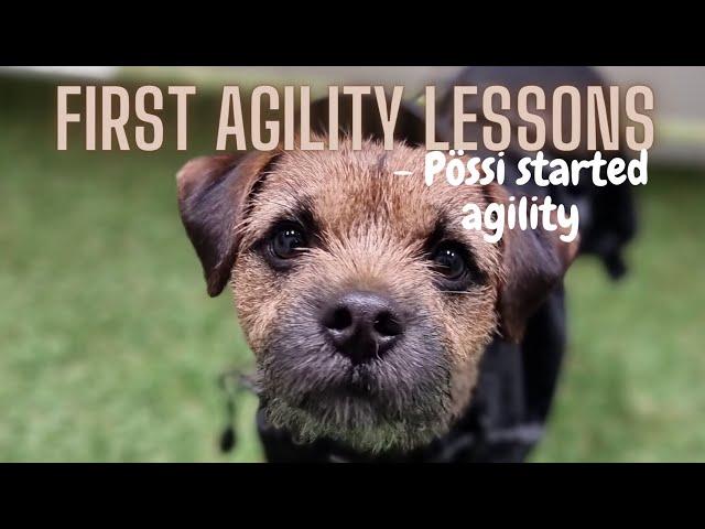 First Agility Lessons - Pössi started agility | Border Terrier 12 months