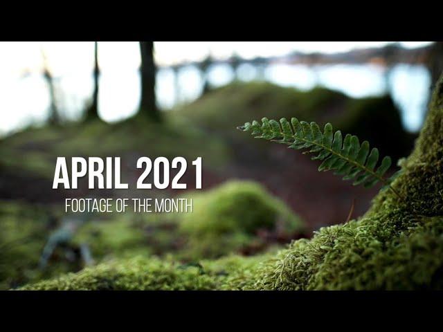 APRIL 2021 | Footage of the Month