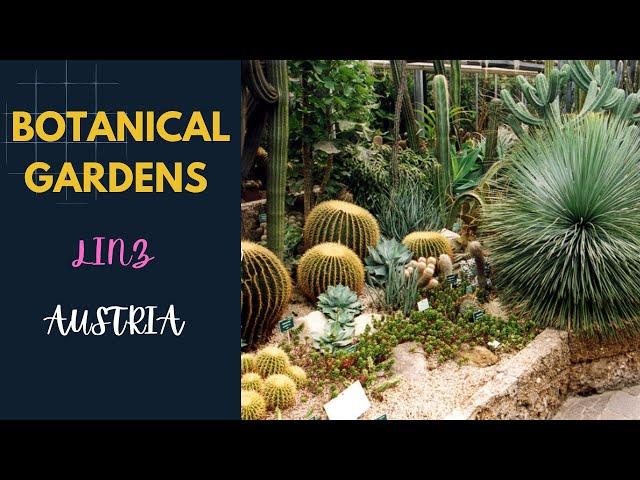 Austria, Linz  || Botanical Gardens || Places of Interest