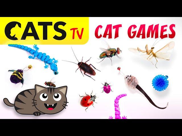 CAT TV  2025 Ultimate Compilation #03  Best games for cats in 4K